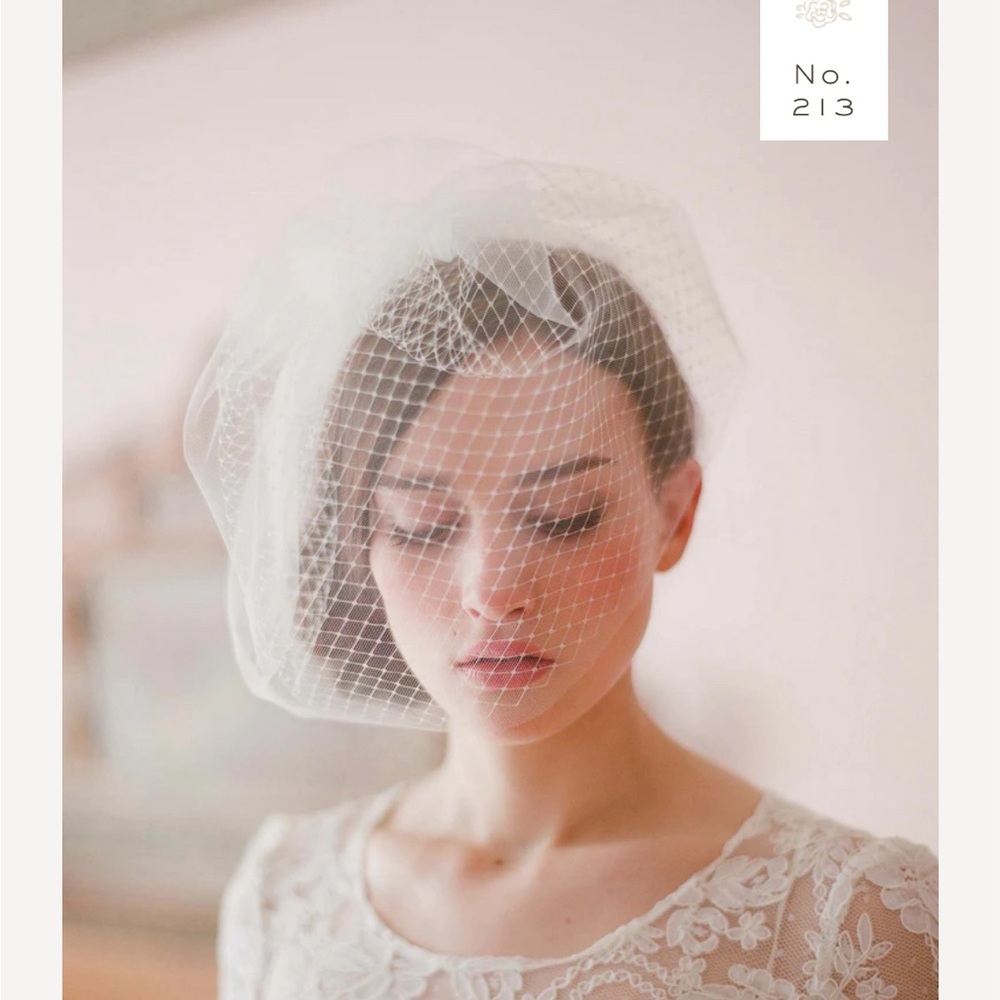 Twigs and Honey Birdcage Veil